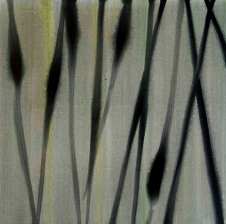 (T0417) Marais 7, 2002, acrylique sur toile, 50 x 50 cm (1378 visites) (T0417) Marais 7, 2002, acrylique sur toile, 50 x 50 cm
