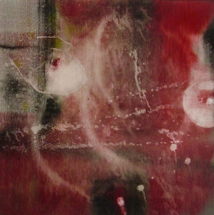 (T0540) En ce jardin 20, 2004, acrylique sur toile, 60 x 60 cm