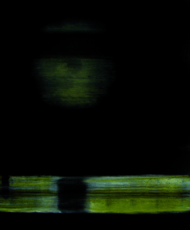 (T0602) Nocturne 3, 2006, acrylique sur toile, 65 x 50 cm (53999 visites) (T0602) Nocturne 3, 2006, acrylique sur toile, 65 x 50 cm