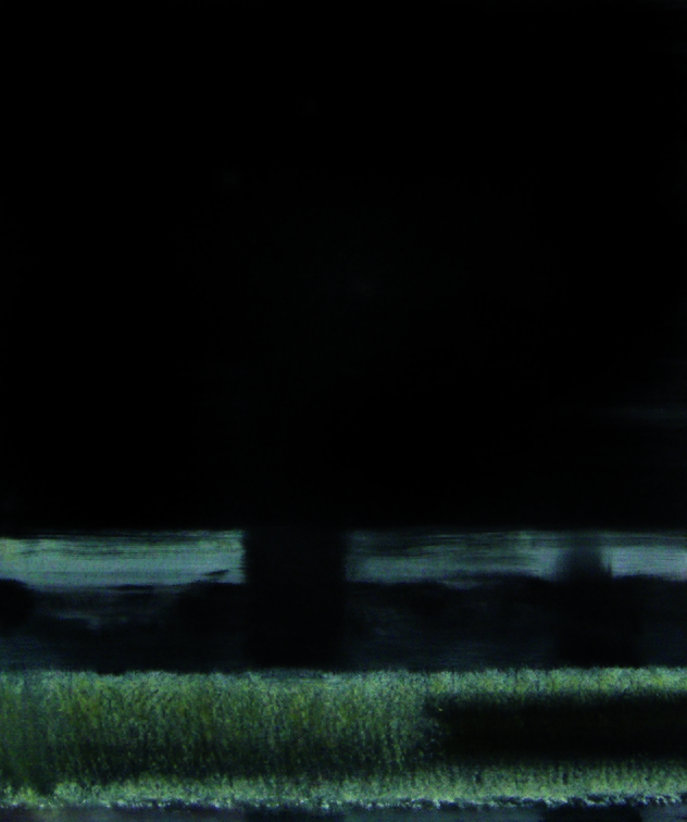 (T0603) Nocturne 4, 2006, acrylique sur toile, 65 x 50 cm (41317 visites) (T0603) Nocturne 4, 2006, acrylique sur toile, 65 x 50 cm
