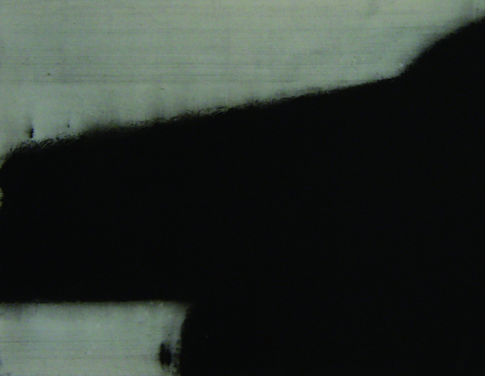 (T0681) Aile, 2009, acrylique sur toile, 50 x 61 cm (42976 visites) (T0681) Aile, 2009, acrylique sur toile, 50 x 61 cm