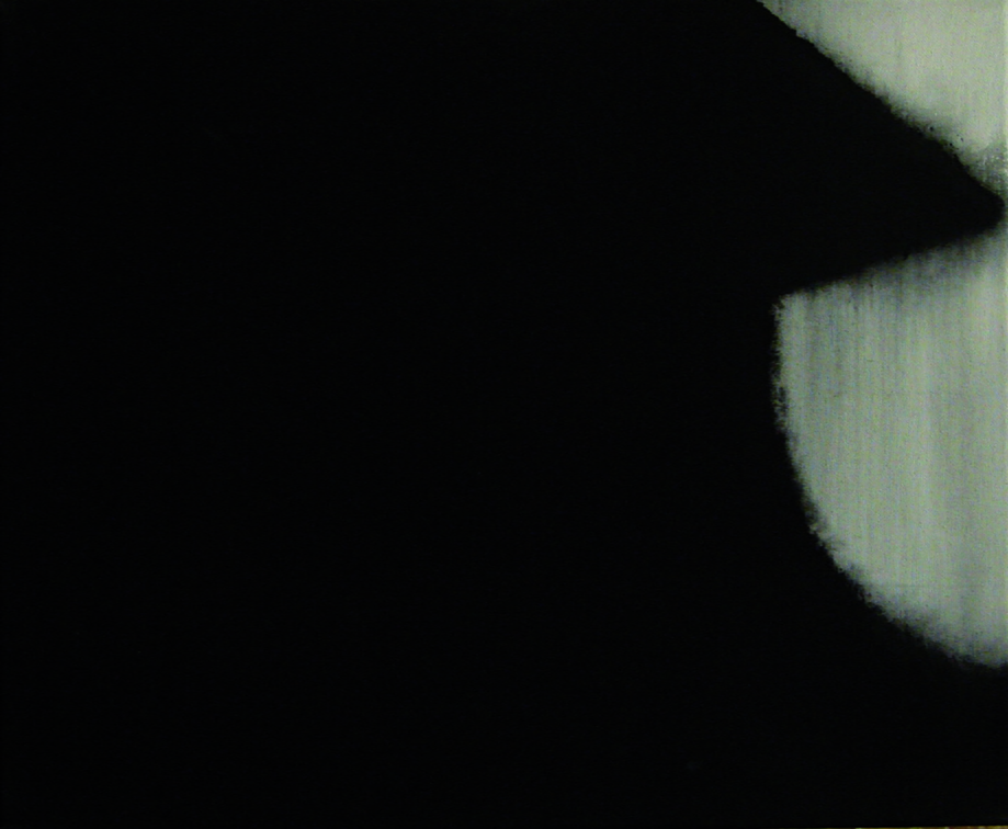 (T0685) Coque, 2009, acrylique sur toile, 50 x 61 cm