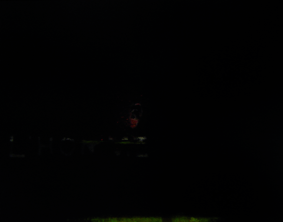 (T0699) L’homme, 2009, acrylique sur toile, 114 x 146 cm