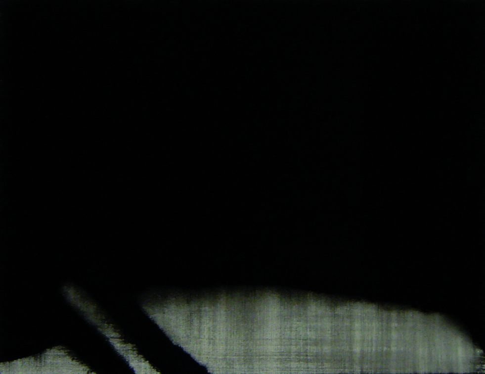 (T0719) Sans titre, 2009, acrylique sur toile, 50 x 61 cm
