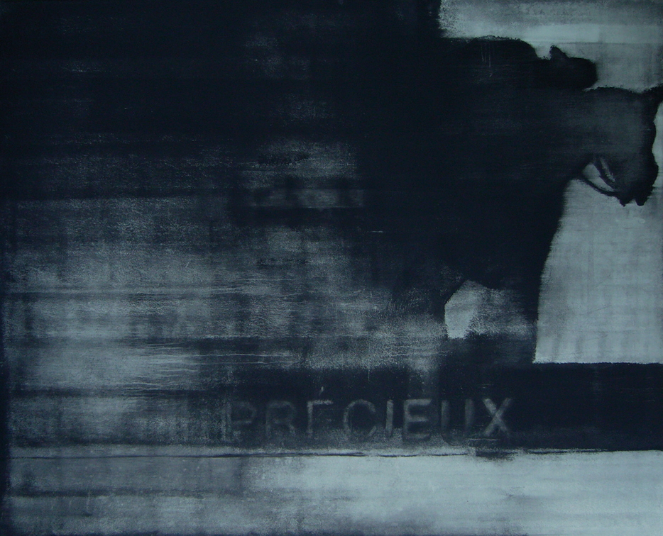 (T0763) Précieux, 2010, acrylique sur toile, 180 x 220 cm (22832 visites) (T0763) Précieux, 2010, acrylique sur toile, 180 x 220 cm