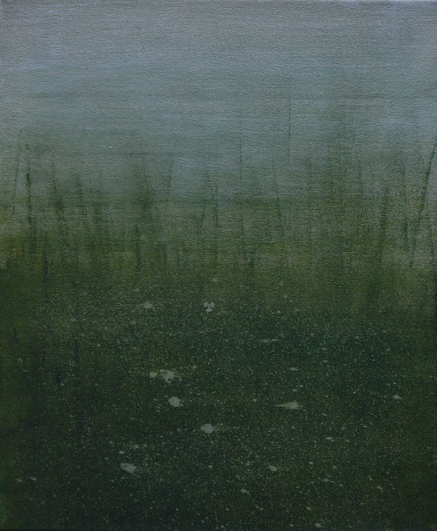(T0923) Marais, 2015, acrylique sur toile, 46 x 38 cm (40145 visites) (T0923) Marais, 2015, acrylique sur toile, 46 x 38 cm
