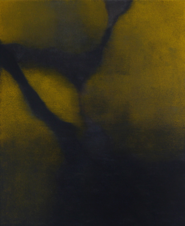(T0964) Citrons, 2017, acrylique sur toile, 46 x 38 cm, collection privée (28367 visites) (T0964) Citrons, 2017, acrylique sur toile, 46 x 38 cm, collection privée