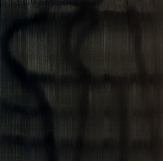 (T0411) Marais, 2002, acrylique sur toile, 50 x 50 cm